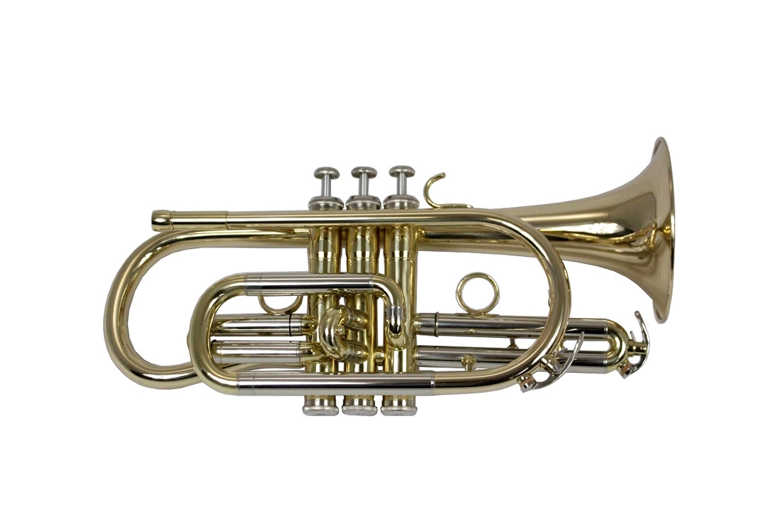 musik-wittl349997