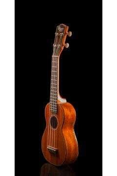 musik-wittl350900