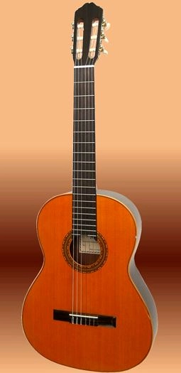 musik-wittl358526