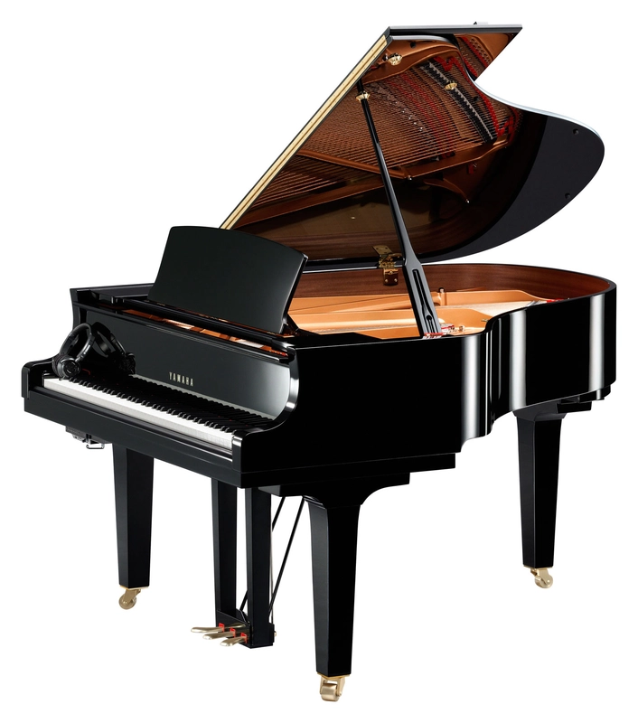 musik-wittl361281