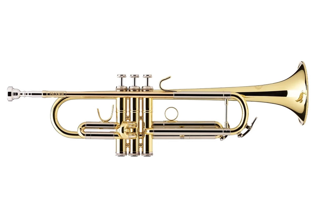 musik-wittl368834