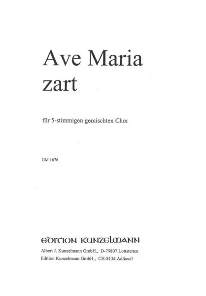 reisser-musik-11187072