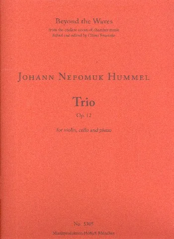 reisser-musik-11882627