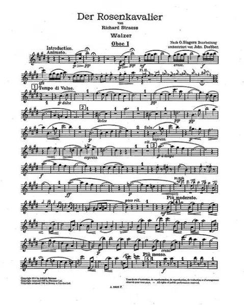 reisser-musik-21304185