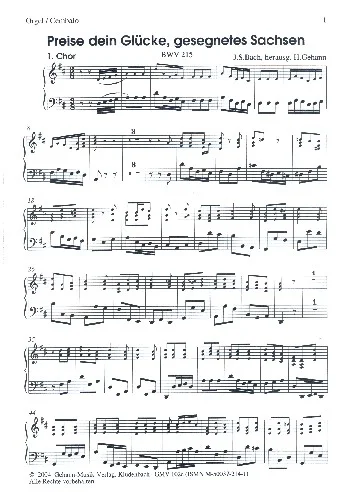 reisser-musik-31081366