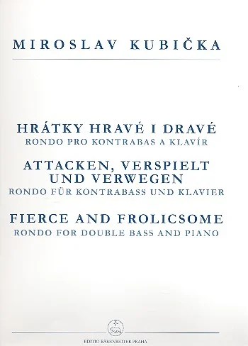 reisser-musik-3648338