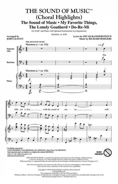 reisser-musik-51175349