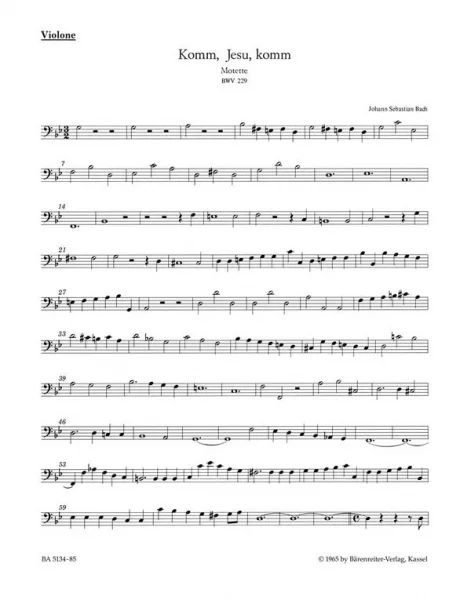 reisser-musik-51342865