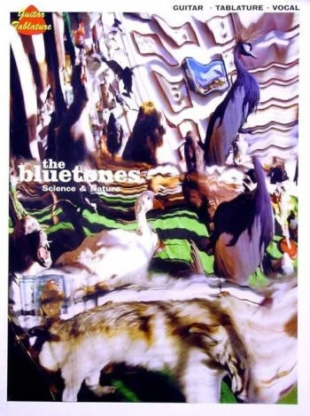 reisser-musik-5714519