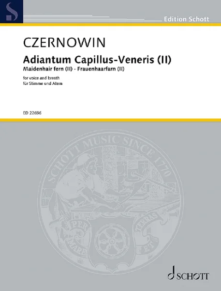 reisser-musik-5817812
