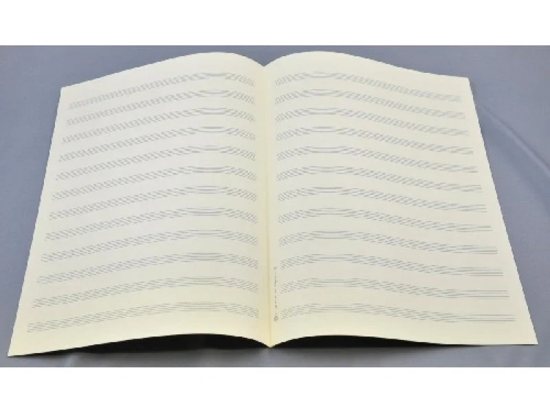 shop.schoeler-pianohaus240388