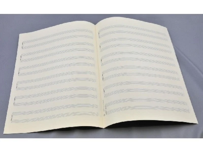 shop.schoeler-pianohaus297674