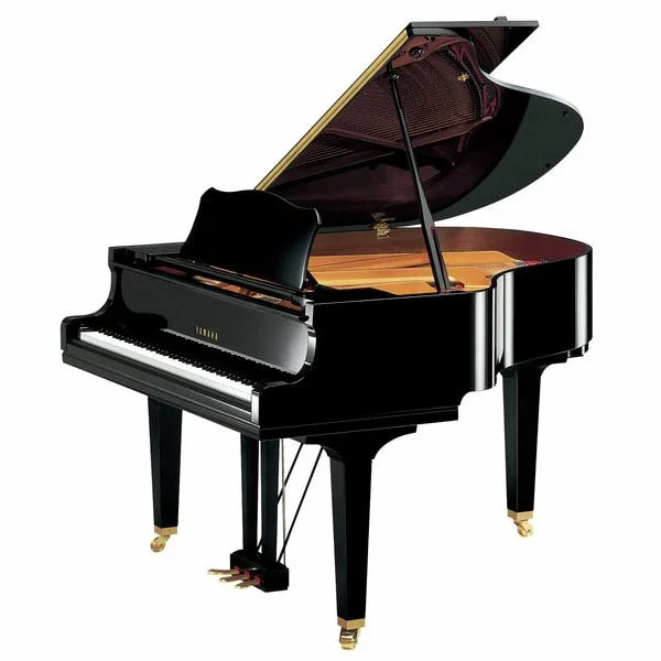 thomann-1246336