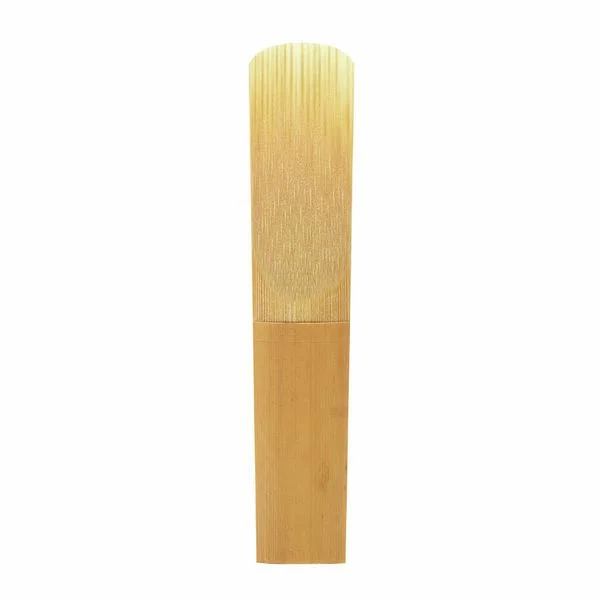 thomann-1686140