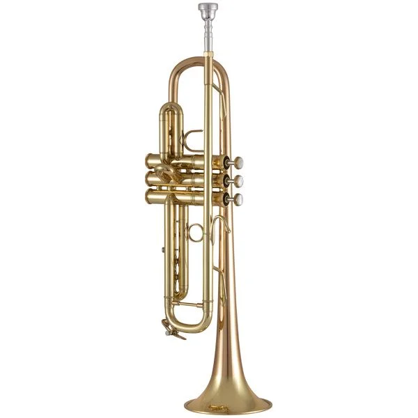 thomann-3249046