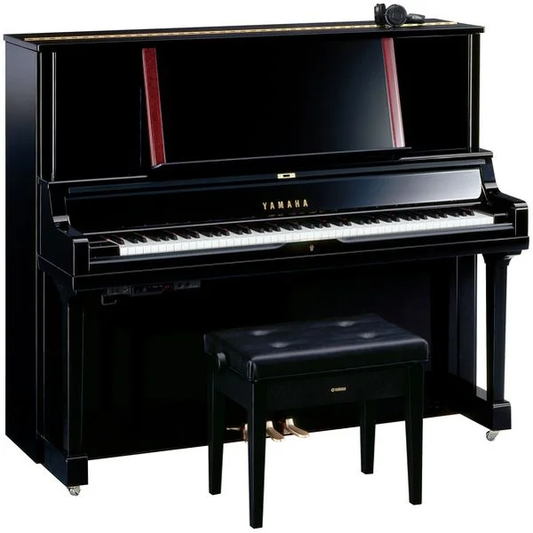 thomann-3260483