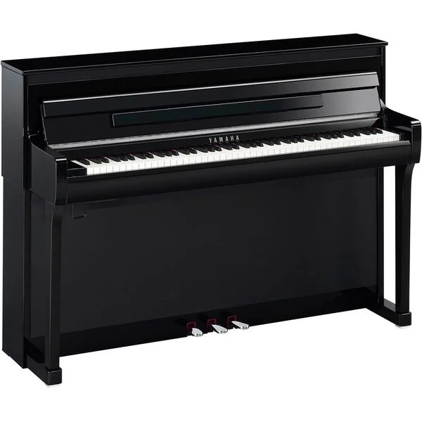 thomann-3630475