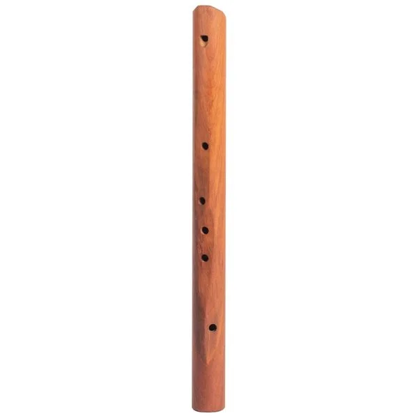 thomann-3683876